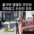 Re: 멍청하면 용감해.. 이미지