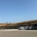 소떼목장 | 성산가볼만한곳 용눈이오름 레일바이크 아기랑 탑승 후기