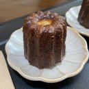 견공질주 올독 클럽 | [블챌] 유월둘째주-유월셋째주