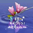 ◆15회차 정기전 이모저모◇ 이미지