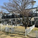 여수 댕댕이 애견 가족펜션 골드 이미지