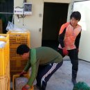 심가네농장 이미지