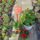 수다쟁이숲어린이집 이미지