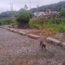 꽃지어울 | 안면도 펜션 꽃지해수욕장이 가까운 어울펜션 숙소 후기