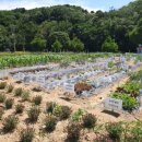 인당마을협동조합 이미지