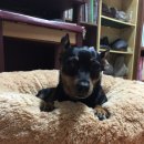 11년 이맘때였나.. 이미지