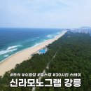 내린천 자연세상 | [신라모노그램 강릉] 오션뷰 23층 레이트 체크아웃, 조식, 수영장, 헬스장 모두 즐긴 내돈내산 솔직후기