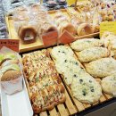 풍년제과터미널점 이미지