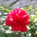 참배움의 집 이미지