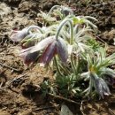 상림주유소 이미지