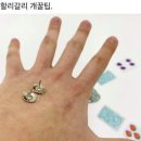 인천옹진농협노동조합 | 비 와도 좋아! 인천 선재담 글램핑 카라반 리조트/프라이빗 카라반 오션뷰 3번방 후기