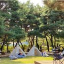 나무아래서(푸드트럭) 이미지