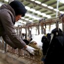 선우목장 이미지