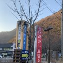 강원라마다호텔앤리조트 | 강원도 태백 라마다호텔 스탠다드더블 룸업그레이드 넓은 룸컨디션
