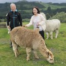 김재덕 농장 | [로이교회] 주일오전예배 설교문 / 윤사무엘 목사 (2025.11.23)