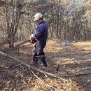 G3802 | 가정용 엔진톱 고르는 요령, 실무자의 체인톱 추천