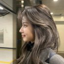 웨스턴돔 이미지