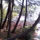 조민형한의원 이미지