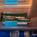 이영환이비인후과의원 뉴시스