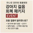 나눔 양한방동물병원 | 강아지 통증신호 체크리스트 + 하나로 양한방 동물병원 걸음 회복 패키지