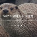 CNN “남·북 가르는 DMZ, 야생동물의 천국” 이미지