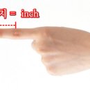 한치두치