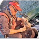 먹거리 주꾸미를 찾아 떠나는 낚시여행 이미지