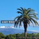 이마트24마곡퀸즈점 | 켄싱턴리조트 서귀포 제주플랙스 패키지 프리미어 오션룸, 애슐리 퀸즈 조식 후기