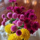 쇠소깍 천일펜션 이미지