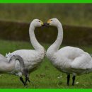 산수장모텔 이미지