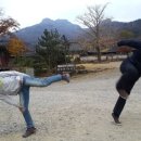 오성농장 이미지