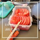 세븐일레븐 홍천양덕원점 | [모닝부부캠핑11] 2025 캠핑 4 - 홍천태극캠핑장 (애견8 - > 10)