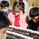 어울마당어린이공원 이미지