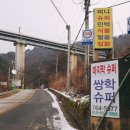 솔의향펜션