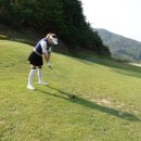 보성에덴CC 네이버블로그