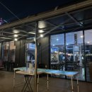 팁시카우 이미지