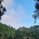 검멀레리조트 이미지