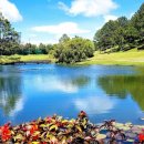 골프놀이터3 이미지