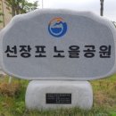 색소폰헤븐