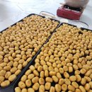 길라잡이태권도장 이미지