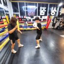 Bee Boxing Gym 이미지