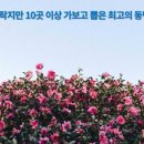 예래느랑
