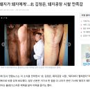 21. 12. 정부수립, 남북관계, 민주주의 이미지