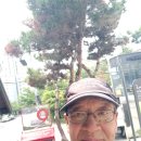 석수역(중)_하 이미지