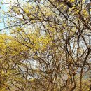 좌항1리 이미지