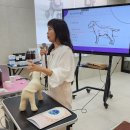 TOP 아로마테라피 | 한국애견연맹 반려동물 아로마테라피 원데이 세미나 후기