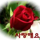 지켜야할 여자의 순결 이미지