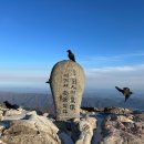 함양I.C 주유소 | 2024-01-06 지리산천왕봉 산행 (백무동원점회귀 응용코스:영신봉, 중봉 탐방)
