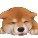 백두동물병원 이미지