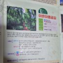 치악산둘레길 10코스 아흔아홉골길 | 원주치악산 둘레길 10코스 아흔아홉골길